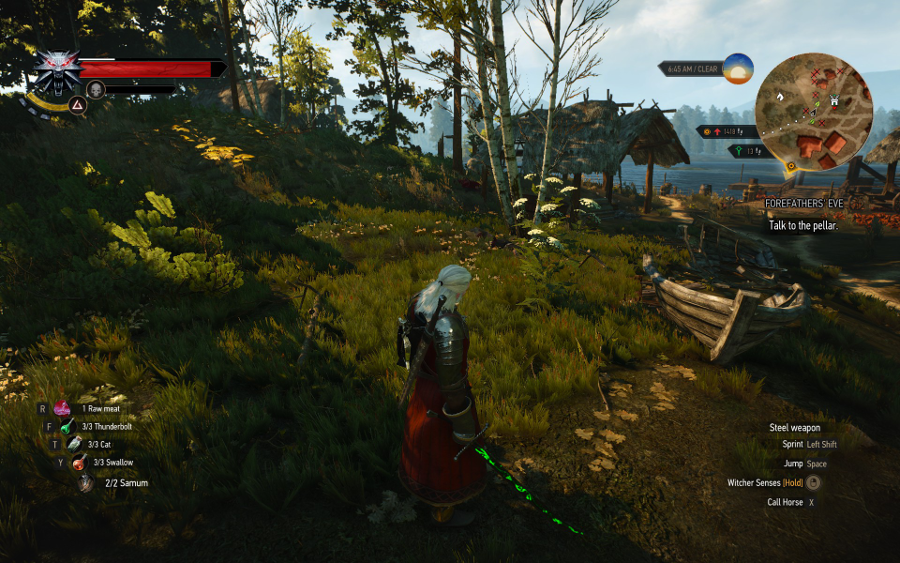 Witcher III Sword Screenshot